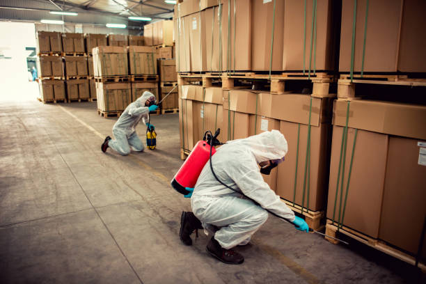 Best Affordable Pest Control Services  in Ripon, WI