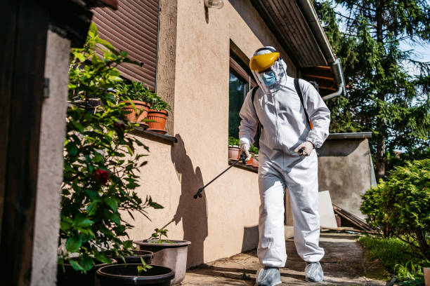 Best Wasp Removal Services  in Ripon, WI