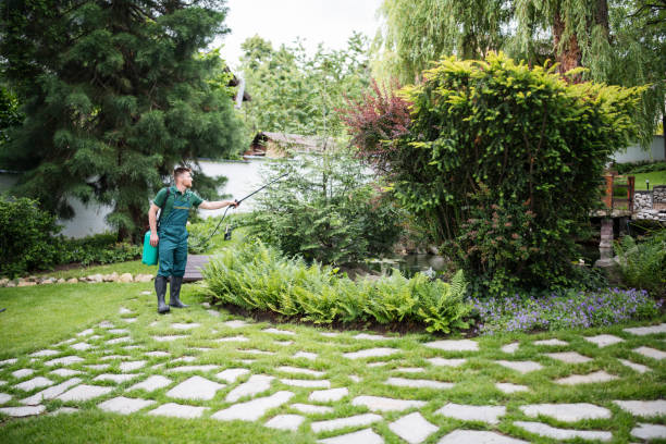 Professional Pest Control in Ripon, WI