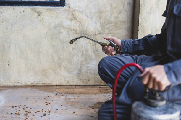 Best Mosquito Control Services  in Ripon, WI